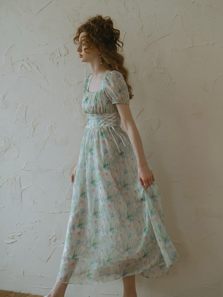 Watercolor Meadow Corset Dress