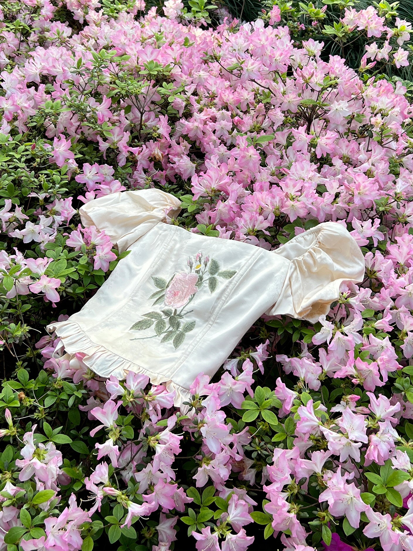 Romantic Rose Embroidered Corset Top