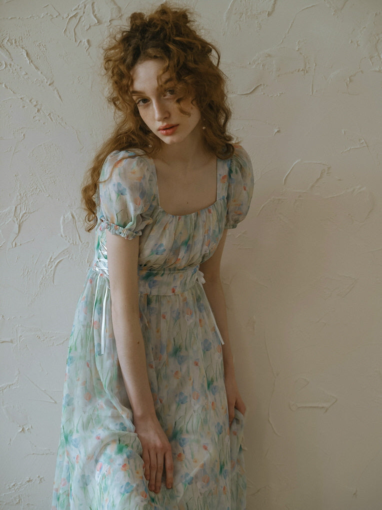 Watercolor Meadow Corset Dress