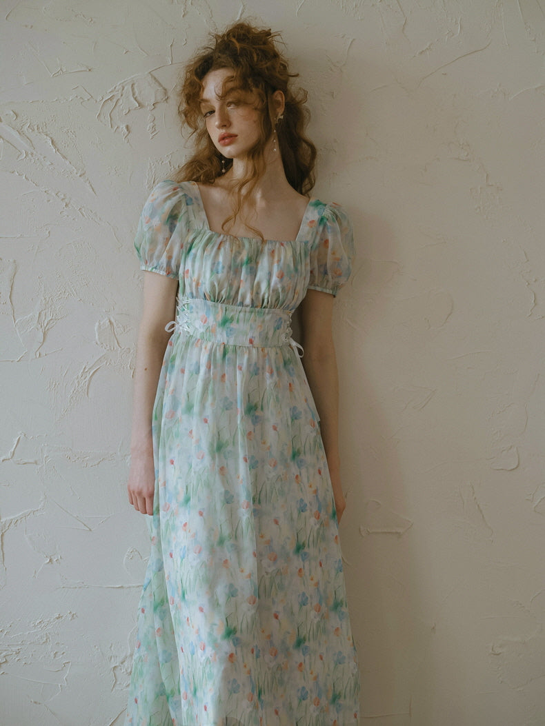 Watercolor Meadow Corset Dress