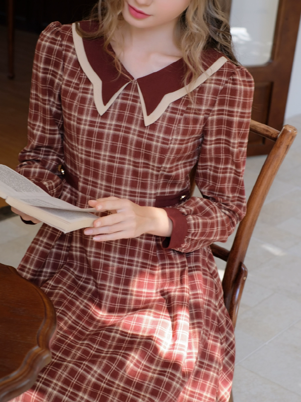 Vintage Butterfly Checkered Dress