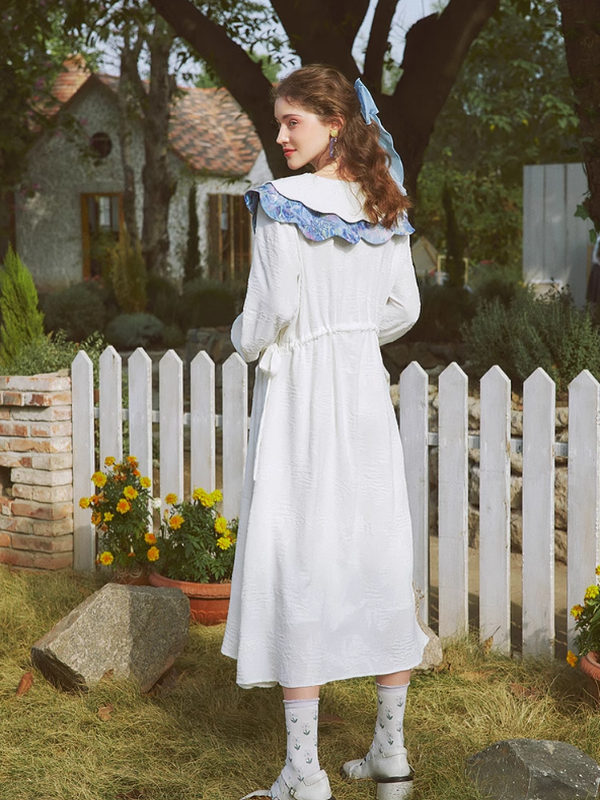 Spring Harmony Blue Collar Dress