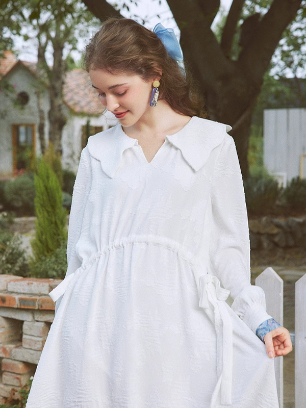 Spring Harmony Blue Collar Dress
