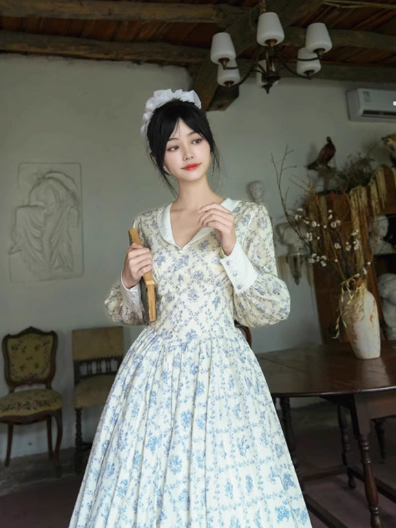 Blue Garden Cotton Vintage Dress