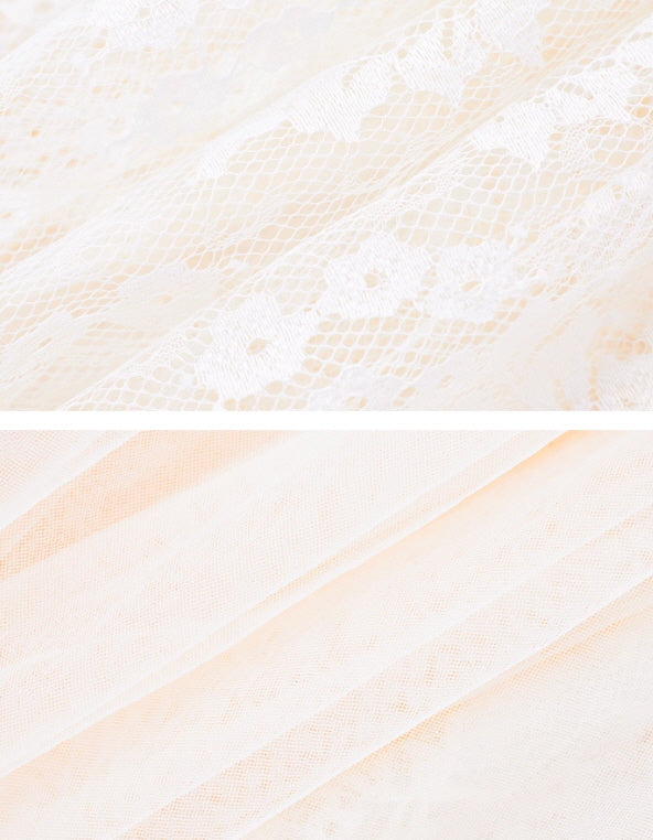 Moonlit Lace Vintage Princess Dress