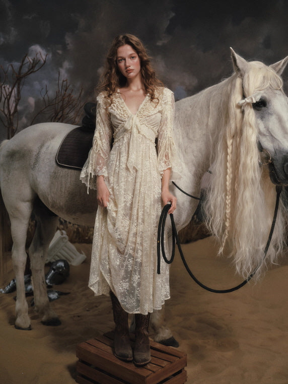 Moonlit Meadow Lace Long Dress