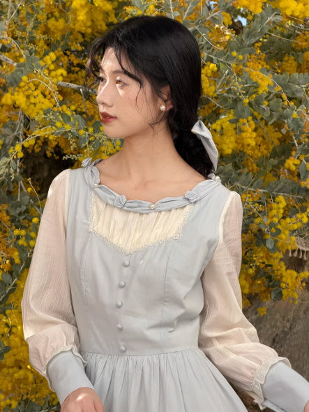 Vintage Grey Blue Cottagecore Dress