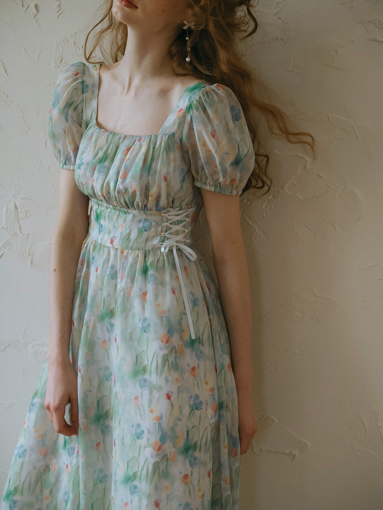 Watercolor Meadow Corset Dress