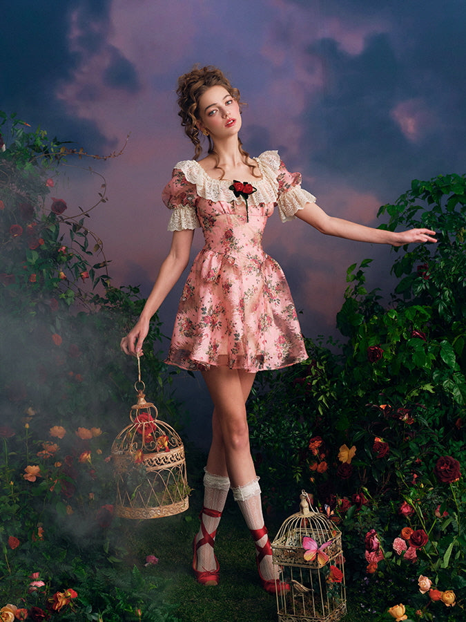 Vintage Rose Lace Frill Dress