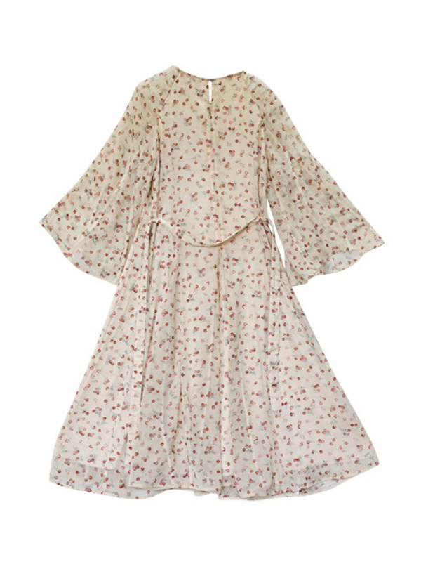 Floral Elegance Blossom Vintage Chiffon Dress