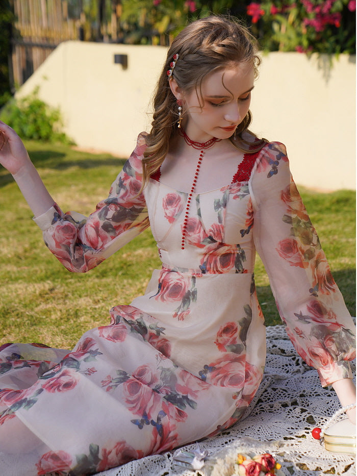 Evelyn's Rose Dream Dress