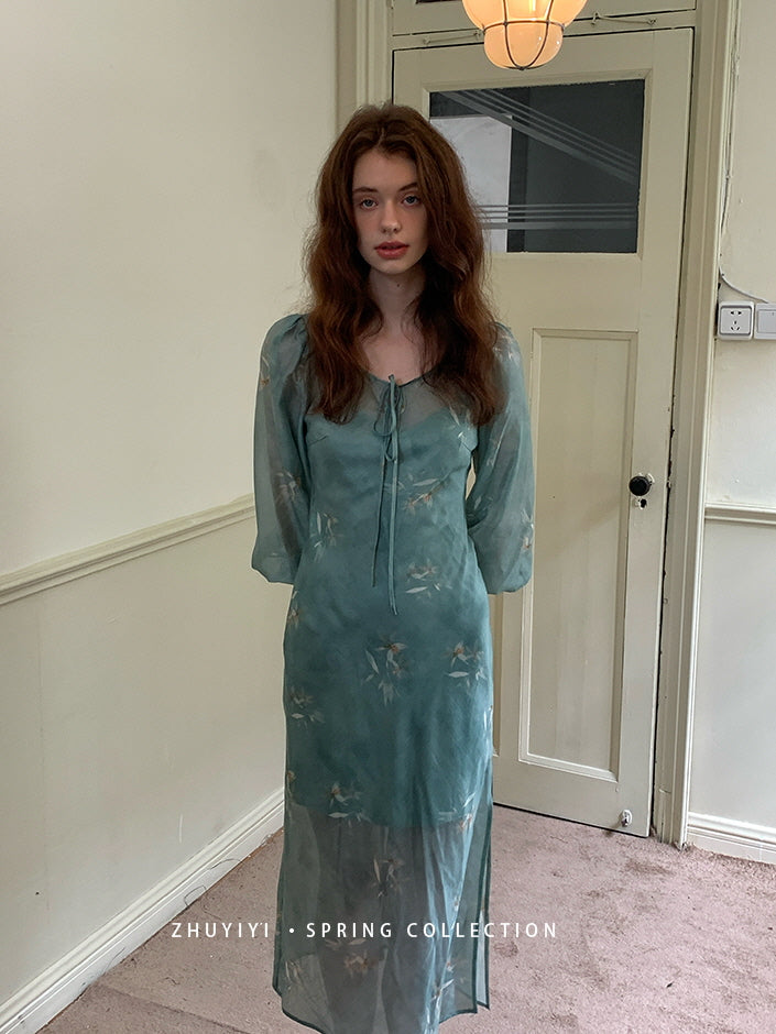 Ethereal Spring Meadow Sheer Sleeve Dress