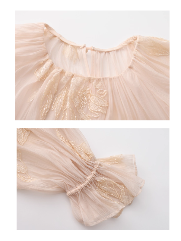 Blush Petal Embroidered Chiffon Dress