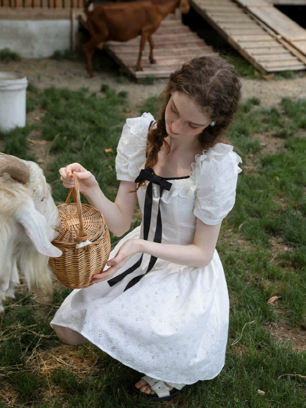 Blossom Girl in the Sunny Farm Dress