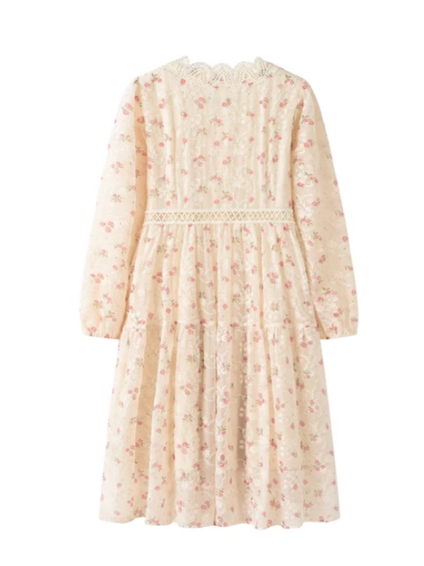 Spring Blossom Embroidered Dress