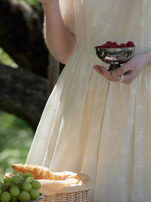 Whimsical Summer Lace Dress