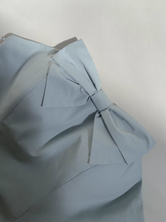 Powder Blue Garden Rose Lace-Up Dress