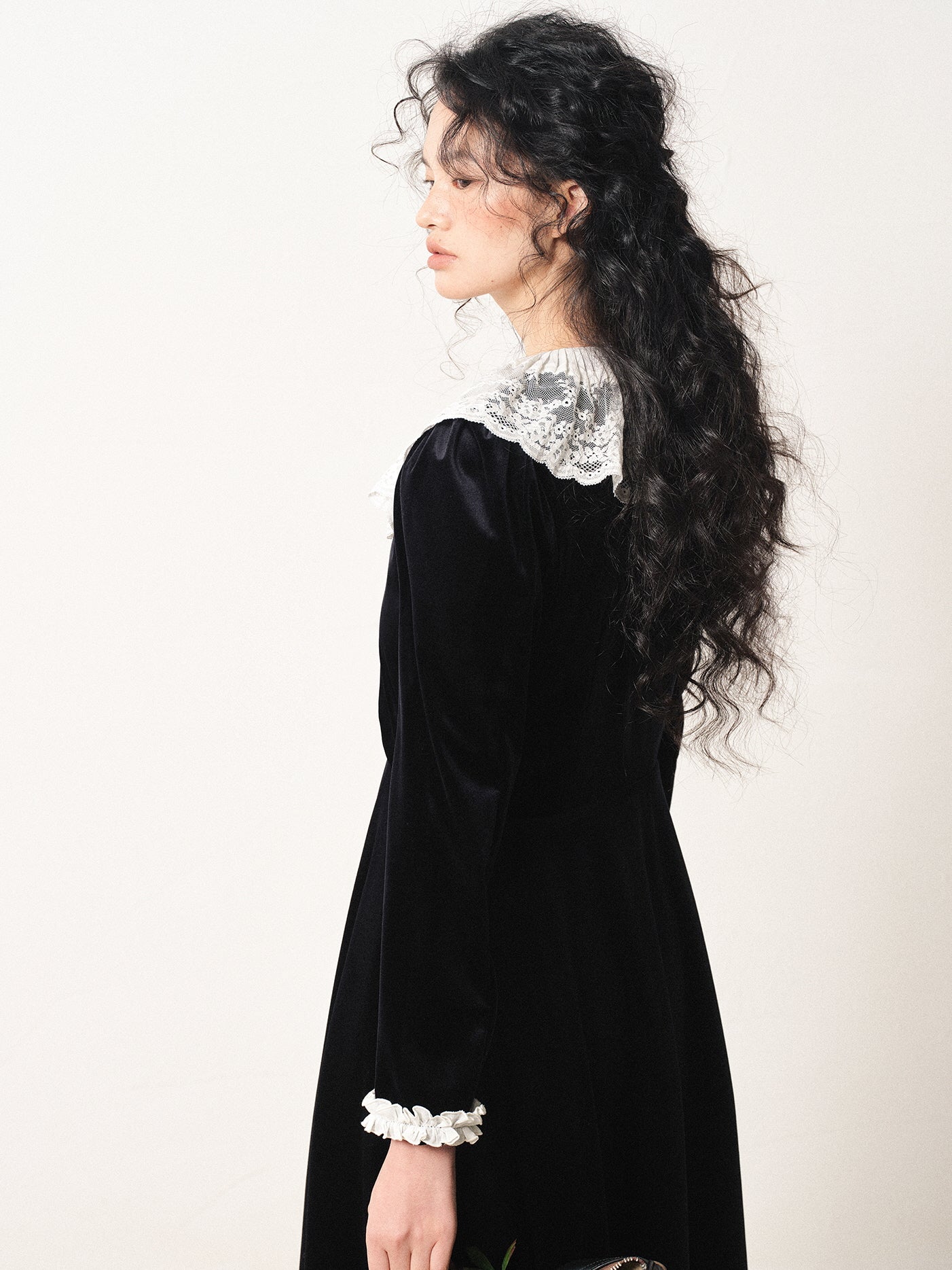 Vintage Velvet Lace Collar Dress