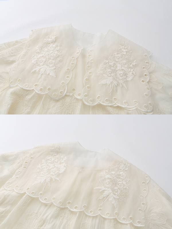 Embroidered Shawl Collar Tiered Dress